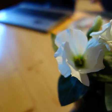 Inge * 장크트 리온하드 임 피츠탈