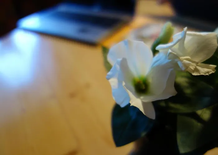 Inge * Sankt Leonhard im Pitztal